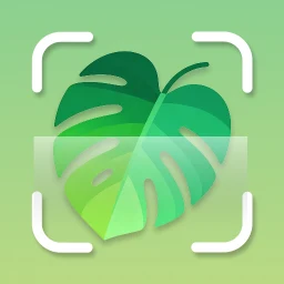 Symbol von Plantid: Pflanzen Bestimmen